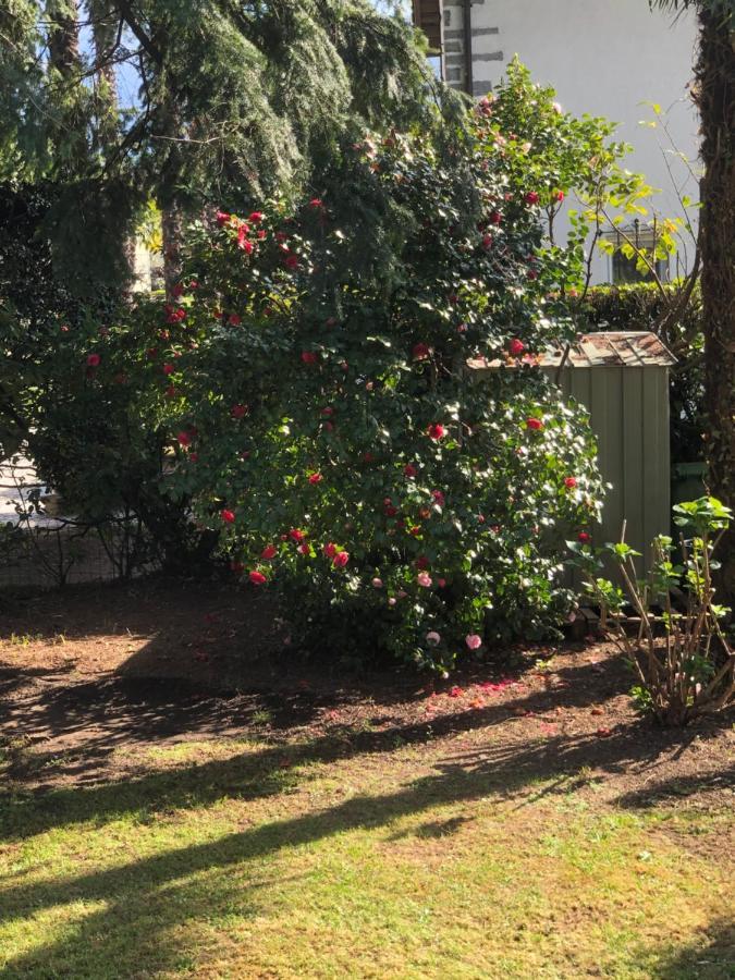 Casa Amira - Fortuna Ascona