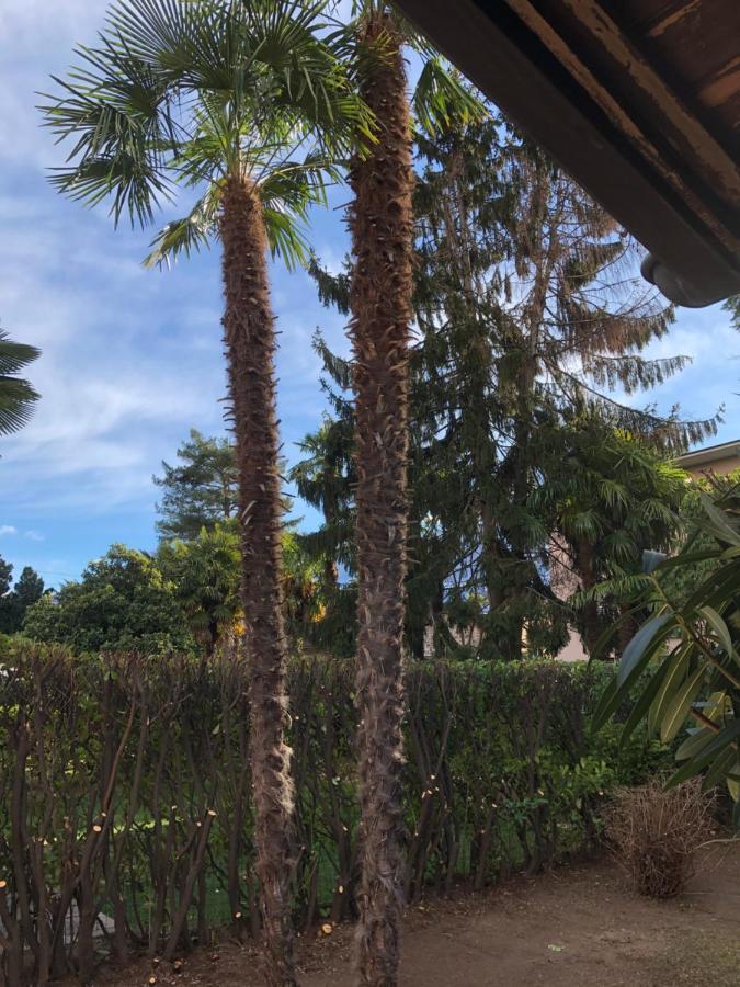 Holiday home Casa Amira - Fortuna