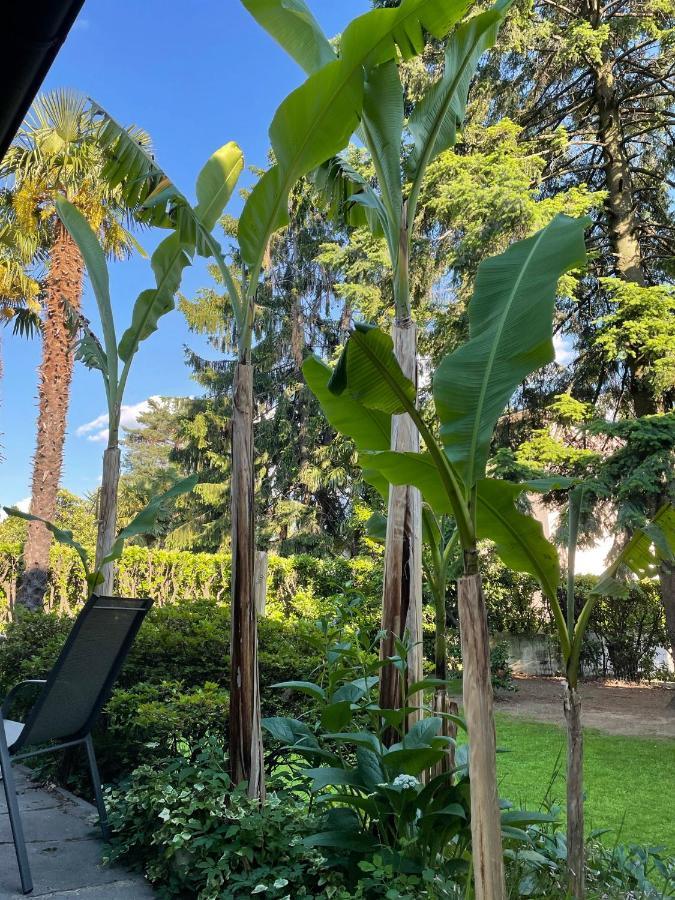 Casa Amira - Fortuna Holiday home