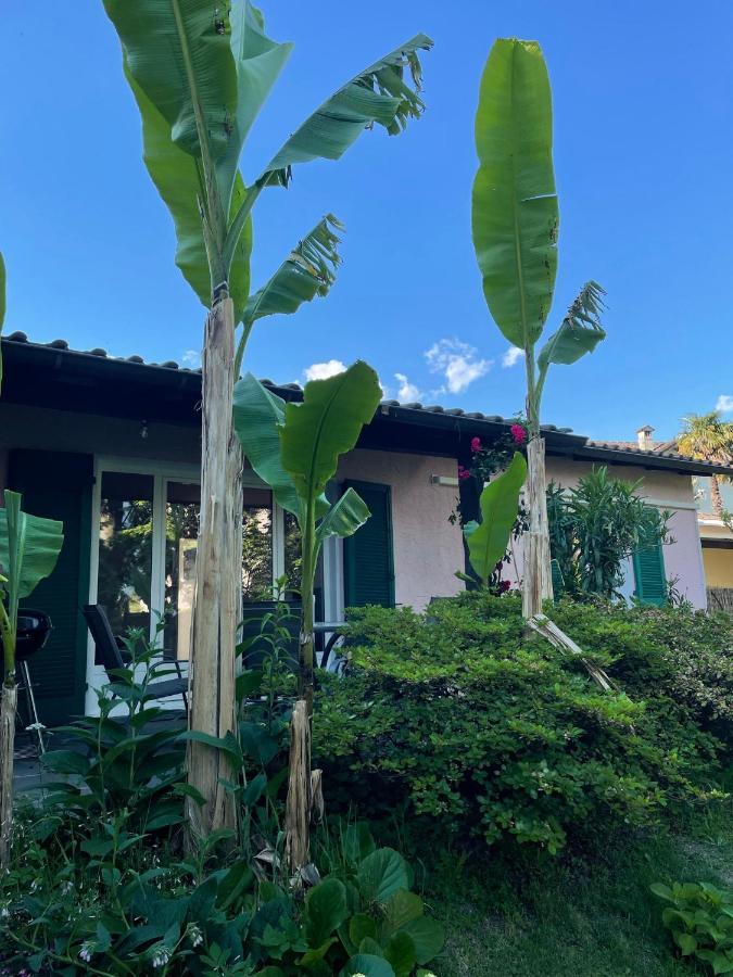 Casa Amira - Fortuna